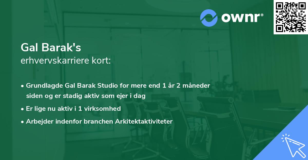 Gal Barak's erhvervskarriere kort