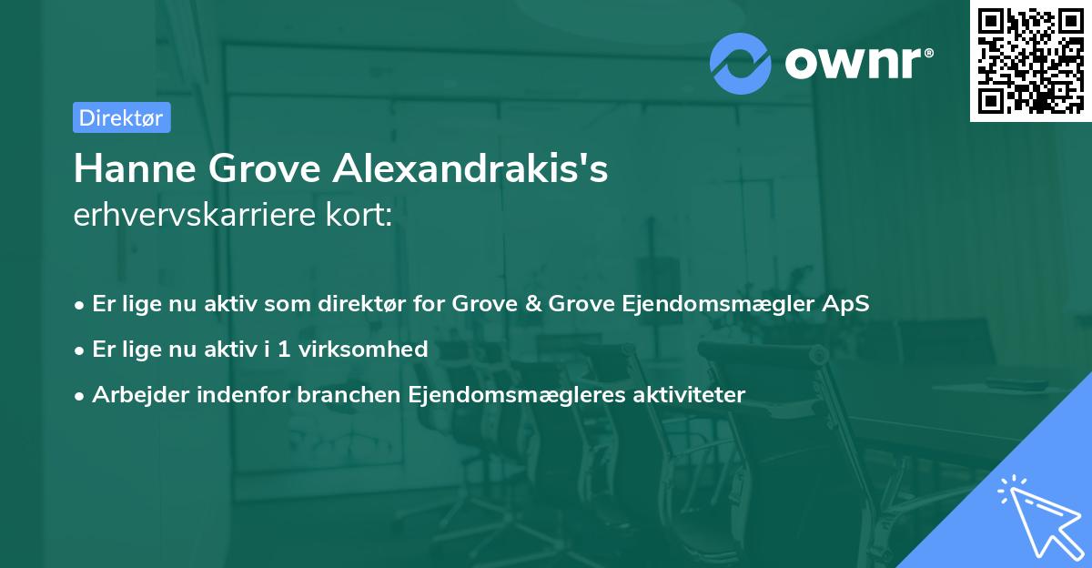 Hanne Grove Alexandrakis's erhvervskarriere kort