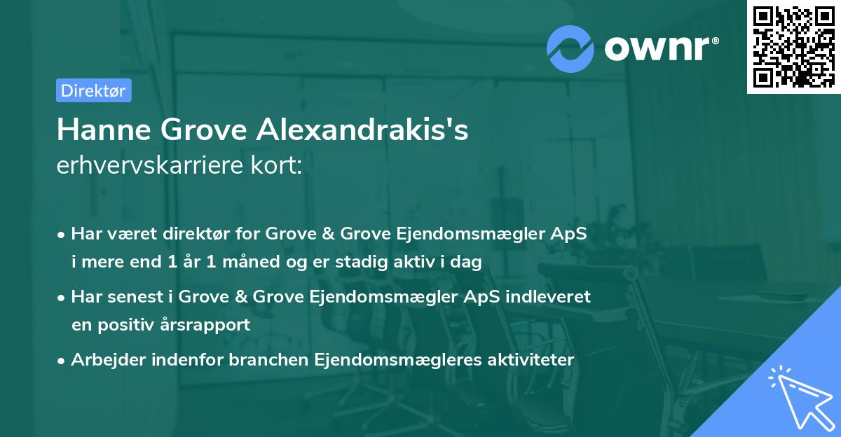 Hanne Grove Alexandrakis's erhvervskarriere kort