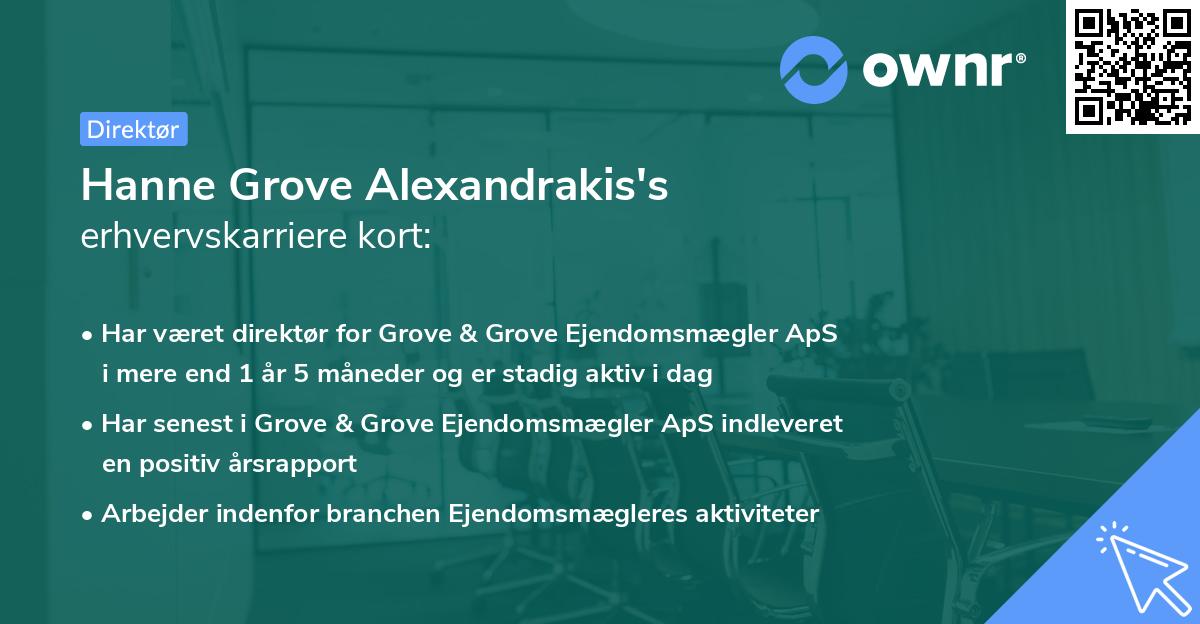 Hanne Grove Alexandrakis's erhvervskarriere kort