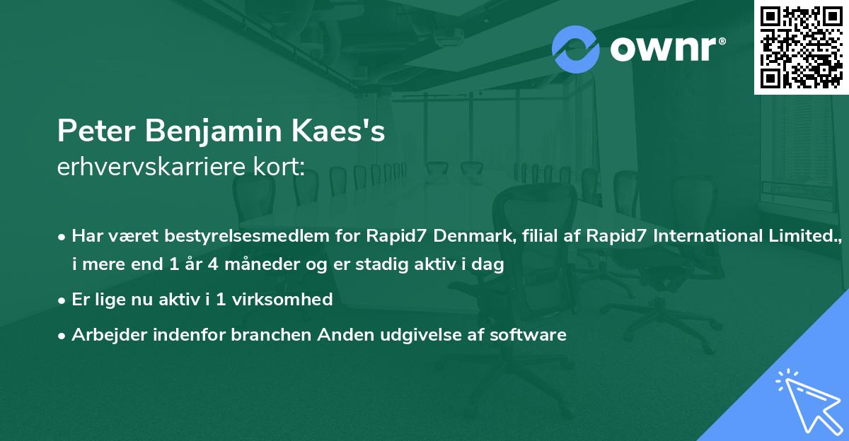 Peter Benjamin Kaes's erhvervskarriere kort