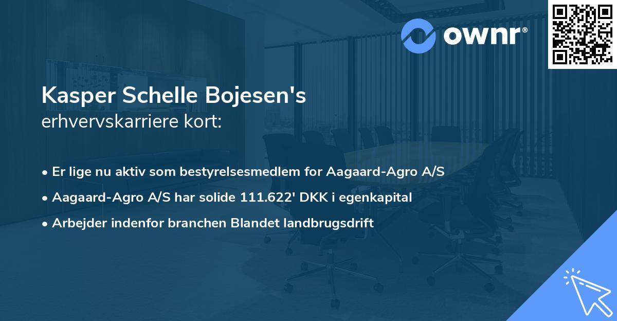 Kasper Schelle Bojesen's erhvervskarriere kort