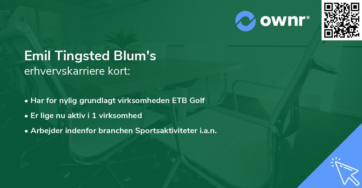 Emil Tingsted Blum's erhvervskarriere kort