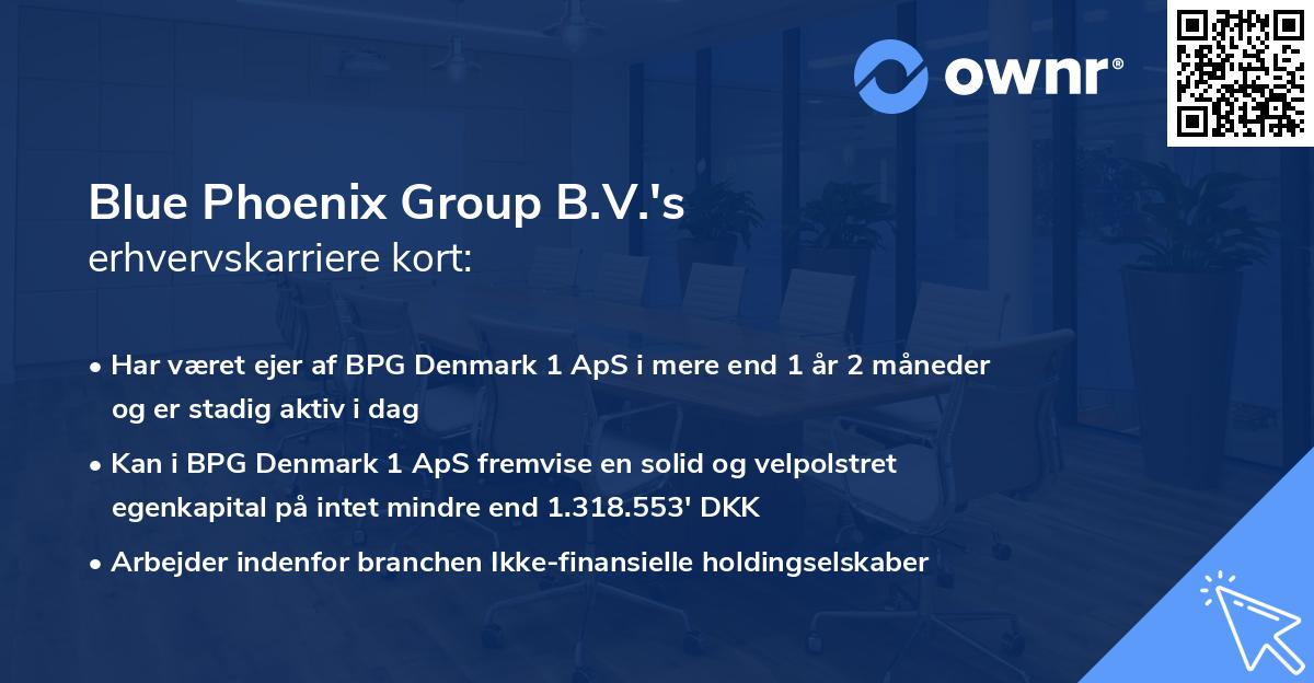 Blue Phoenix Group B.V.'s erhvervskarriere kort