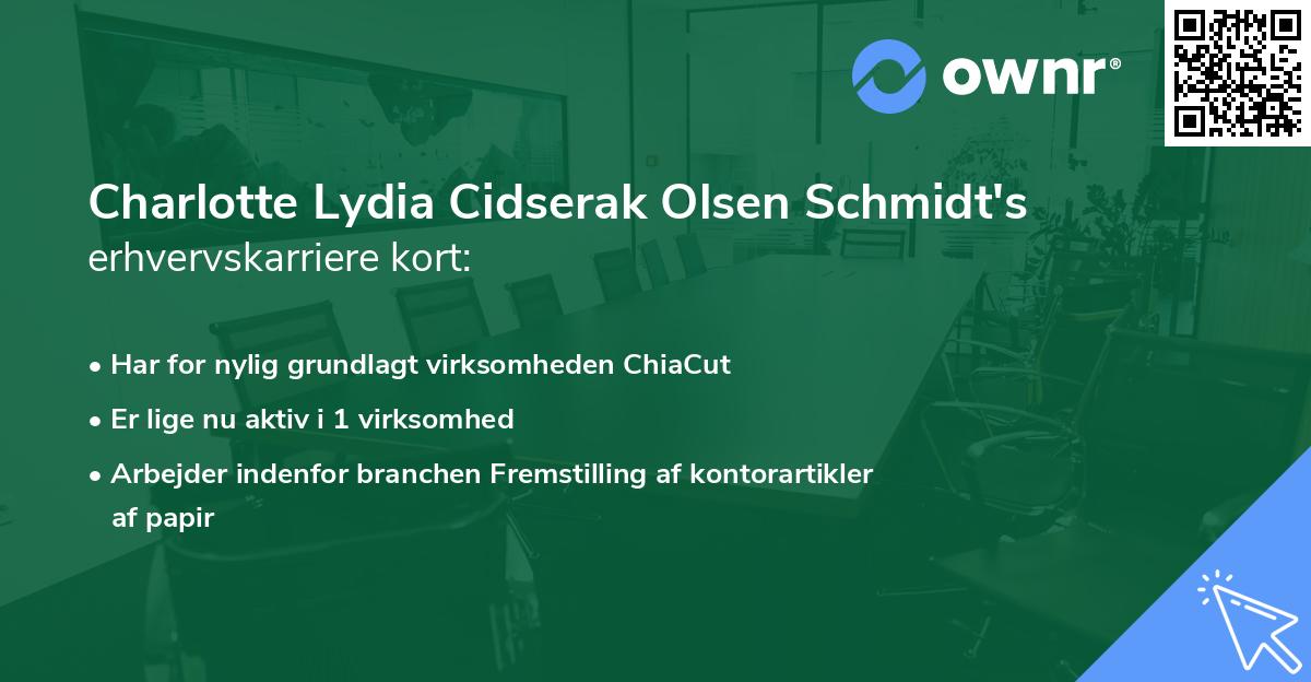 Charlotte Lydia Cidserak Olsen Schmidt's erhvervskarriere kort