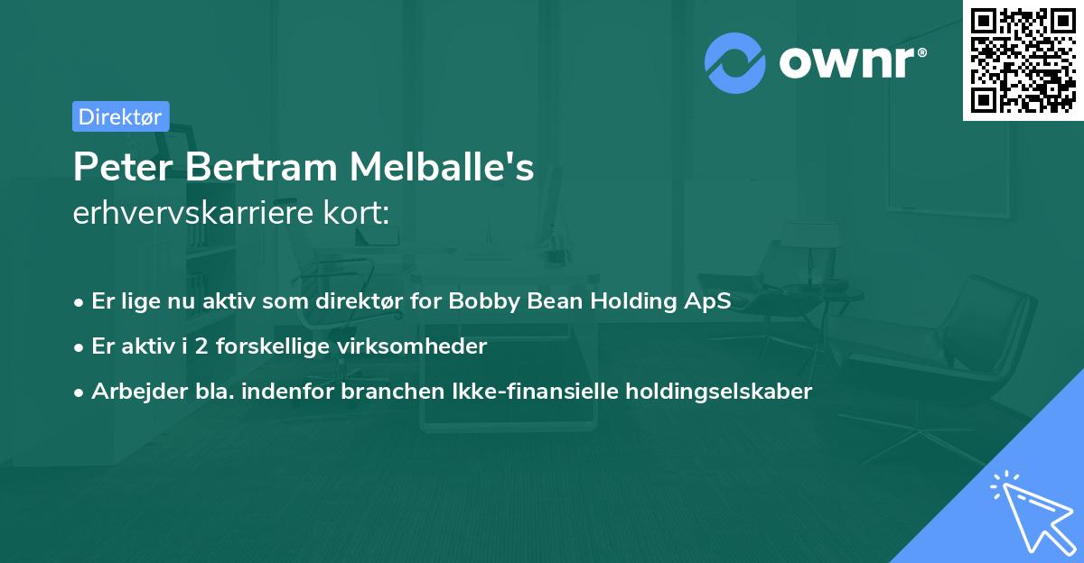 Peter Bertram Melballe's erhvervskarriere kort