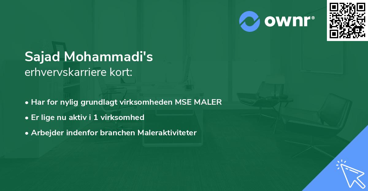Sajad Mohammadi's erhvervskarriere kort