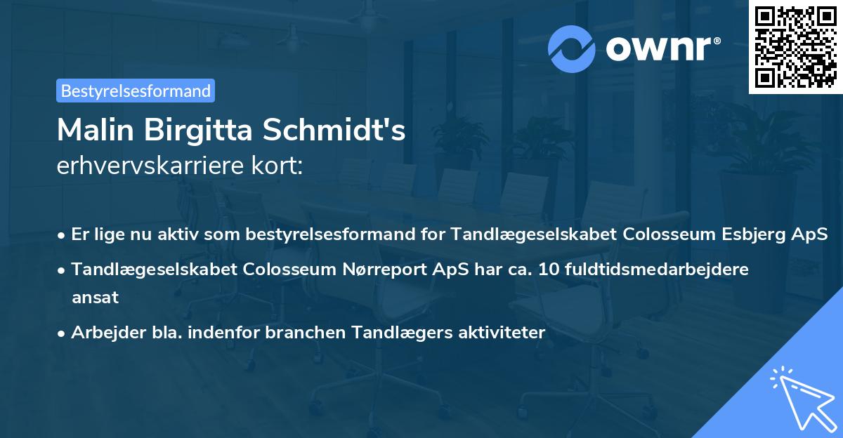 Malin Birgitta Schmidt's erhvervskarriere kort