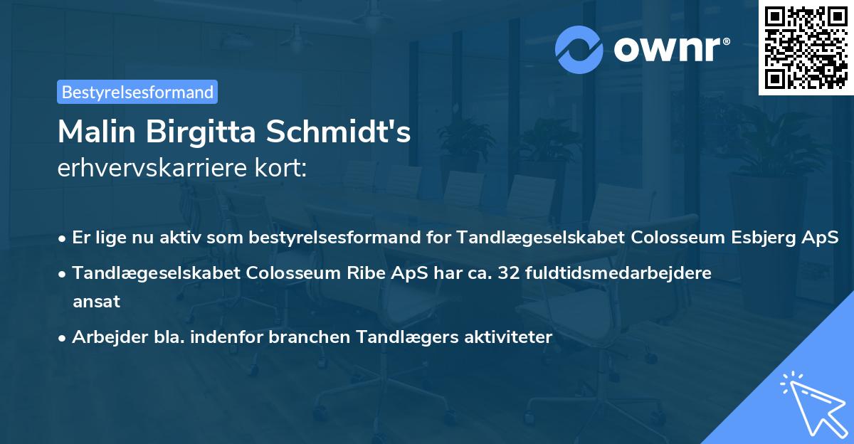 Malin Birgitta Schmidt's erhvervskarriere kort