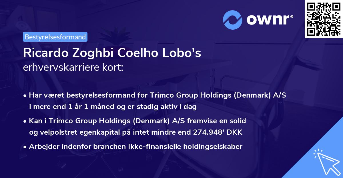 Ricardo Zoghbi Coelho Lobo's erhvervskarriere kort