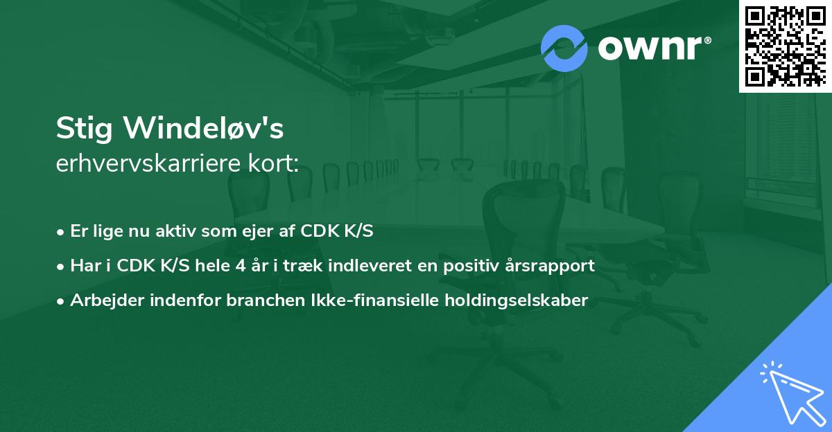 Stig Windeløv's erhvervskarriere kort