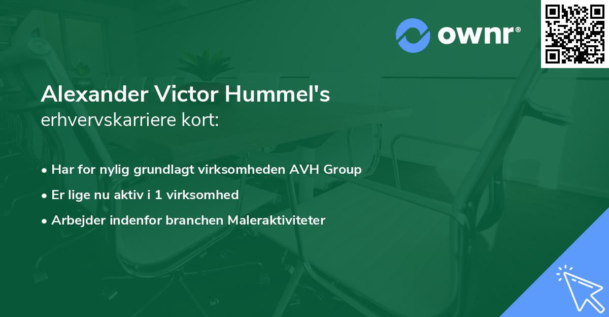 Alexander Victor Hummel's erhvervskarriere kort