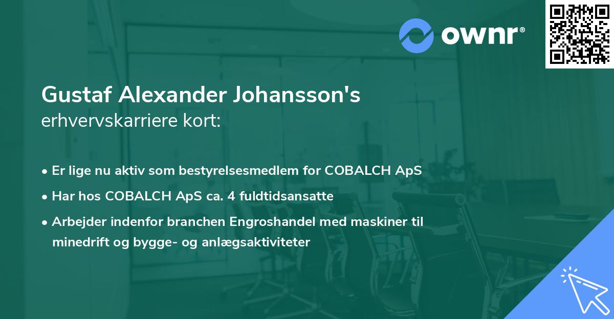 Gustaf Alexander Johansson's erhvervskarriere kort