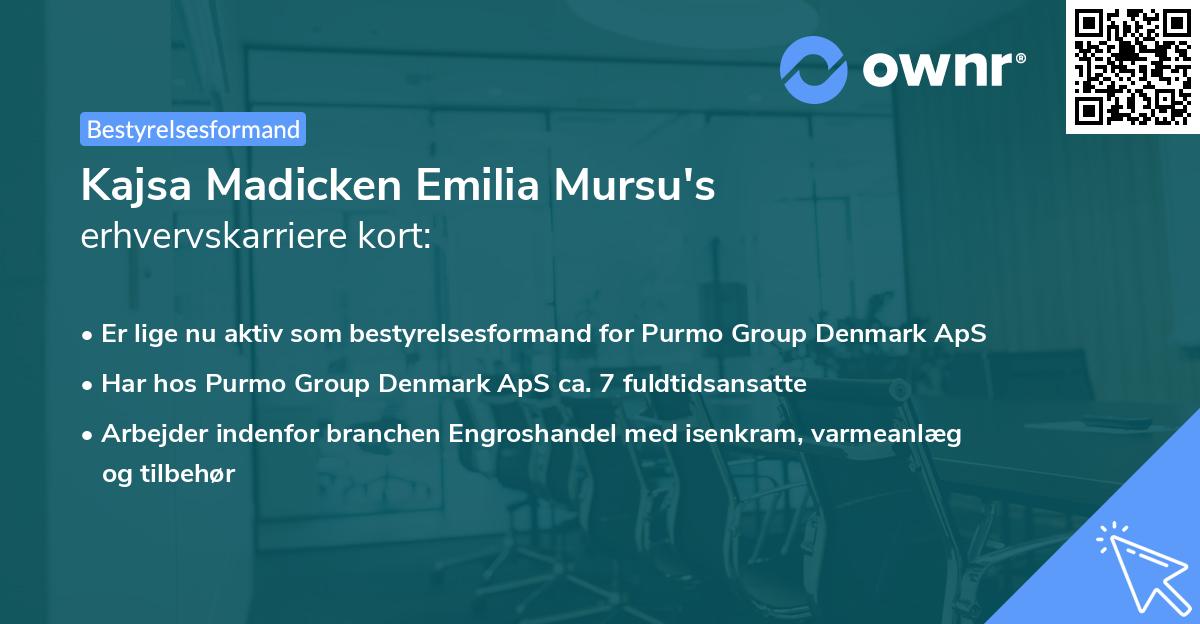 Kajsa Madicken Emilia Mursu's erhvervskarriere kort