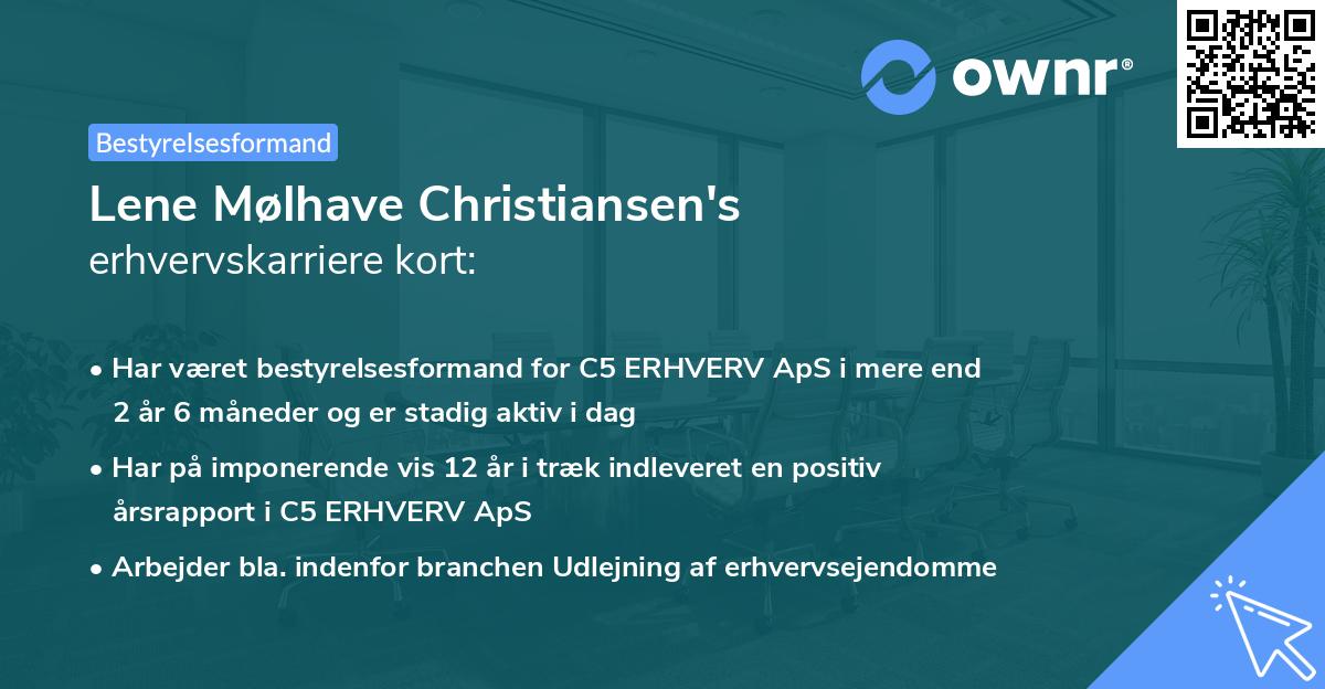 Lene Mølhave Christiansen's erhvervskarriere kort
