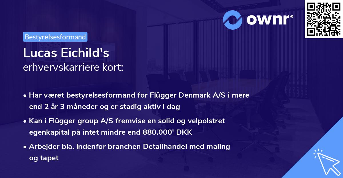 Lucas Eichild's erhvervskarriere kort