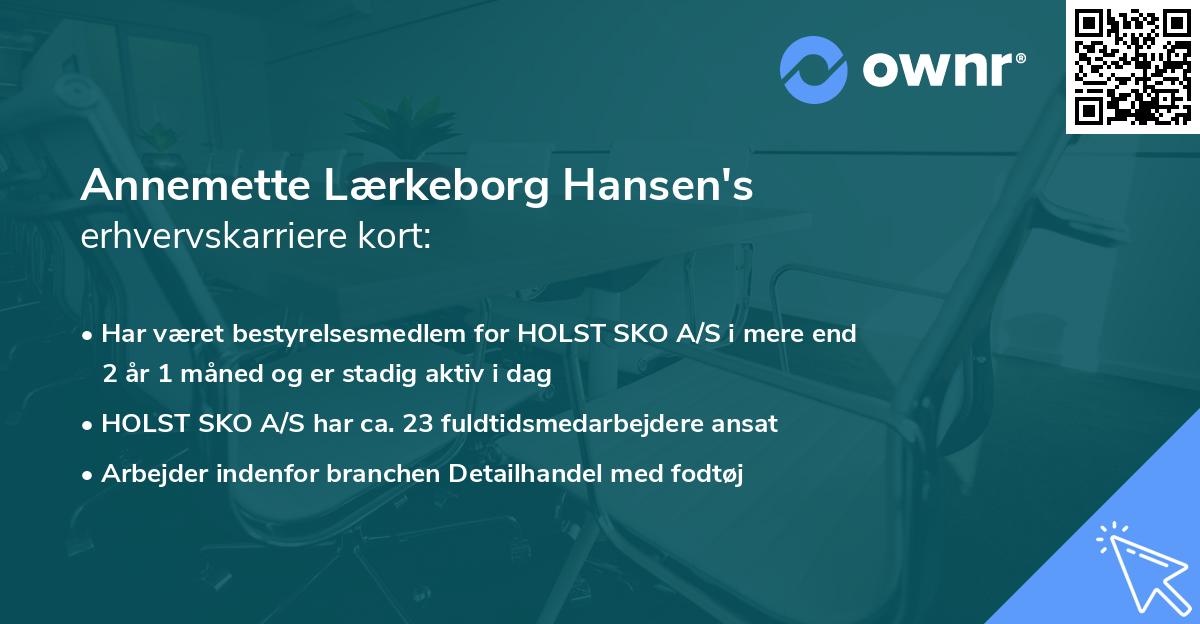 Annemette Lærkeborg Hansen's erhvervskarriere kort