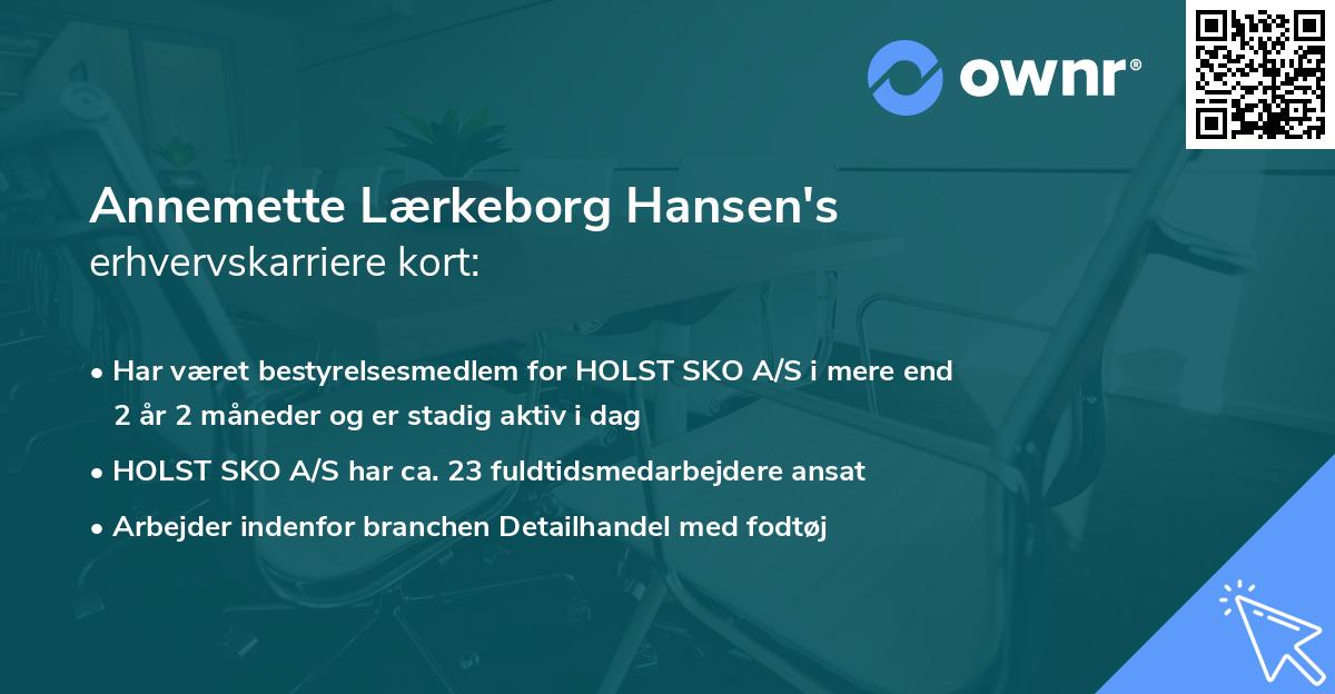 Annemette Lærkeborg Hansen's erhvervskarriere kort