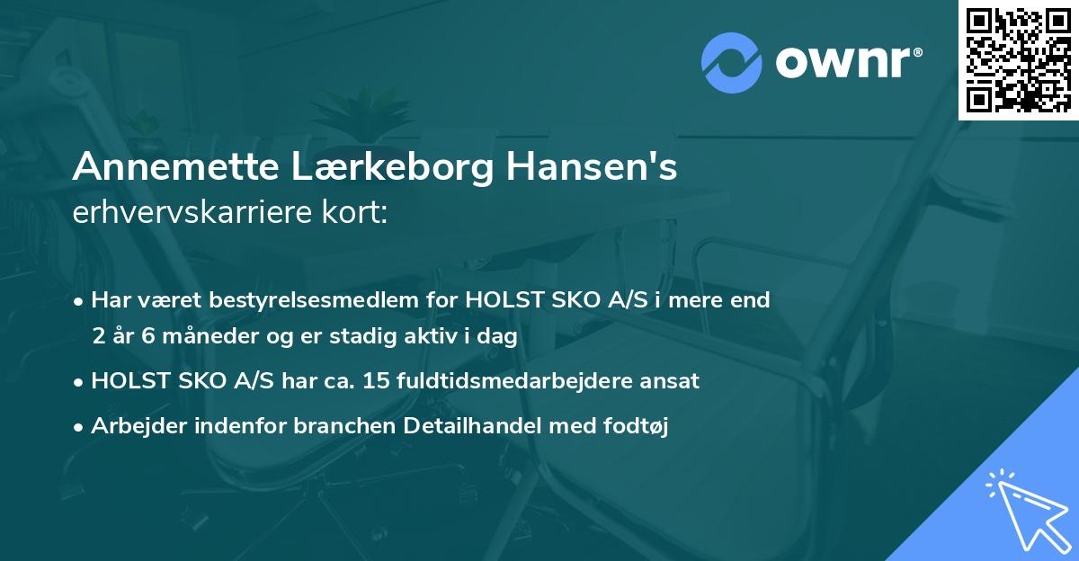 Annemette Lærkeborg Hansen's erhvervskarriere kort