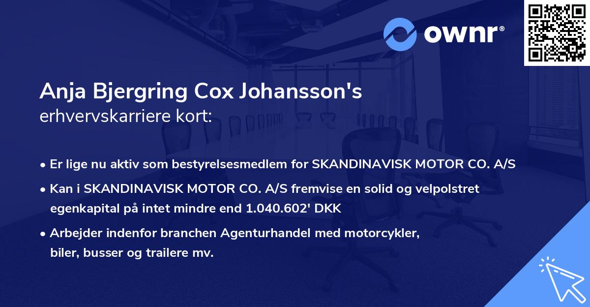 Anja Bjergring Cox Johansson's erhvervskarriere kort