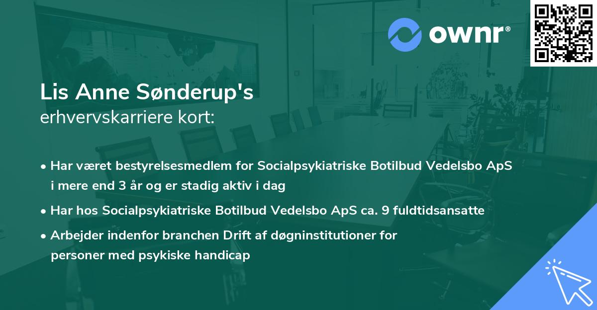 Lis Anne Sønderup's erhvervskarriere kort