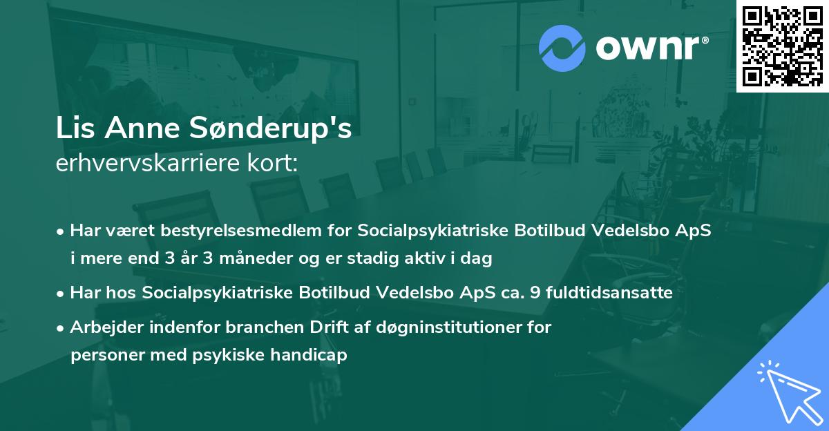 Lis Anne Sønderup's erhvervskarriere kort