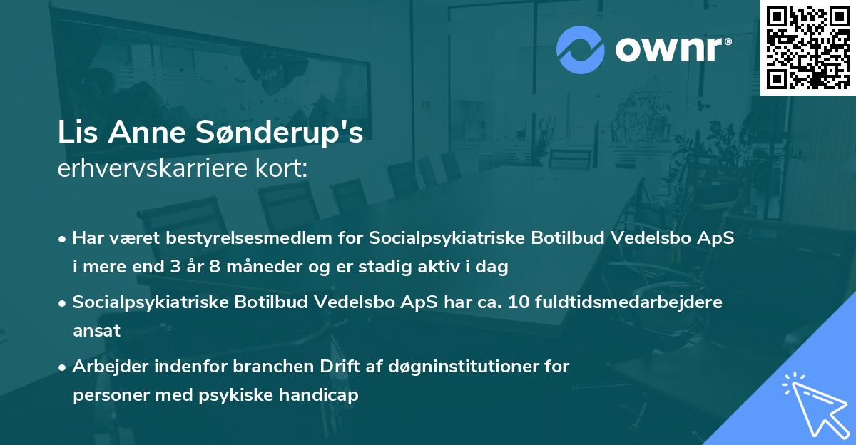 Lis Anne Sønderup's erhvervskarriere kort