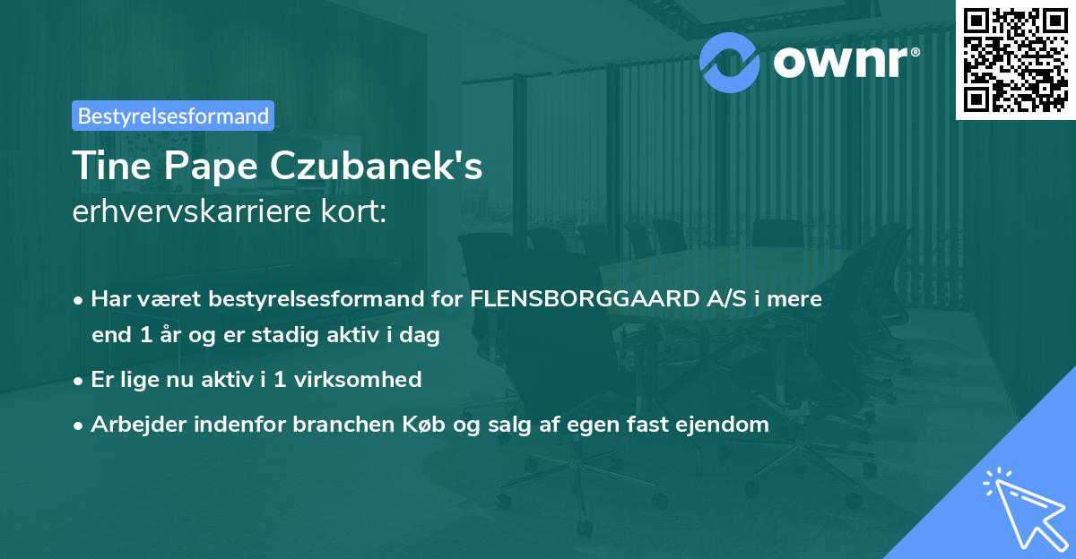 Tine Pape Czubanek's erhvervskarriere kort