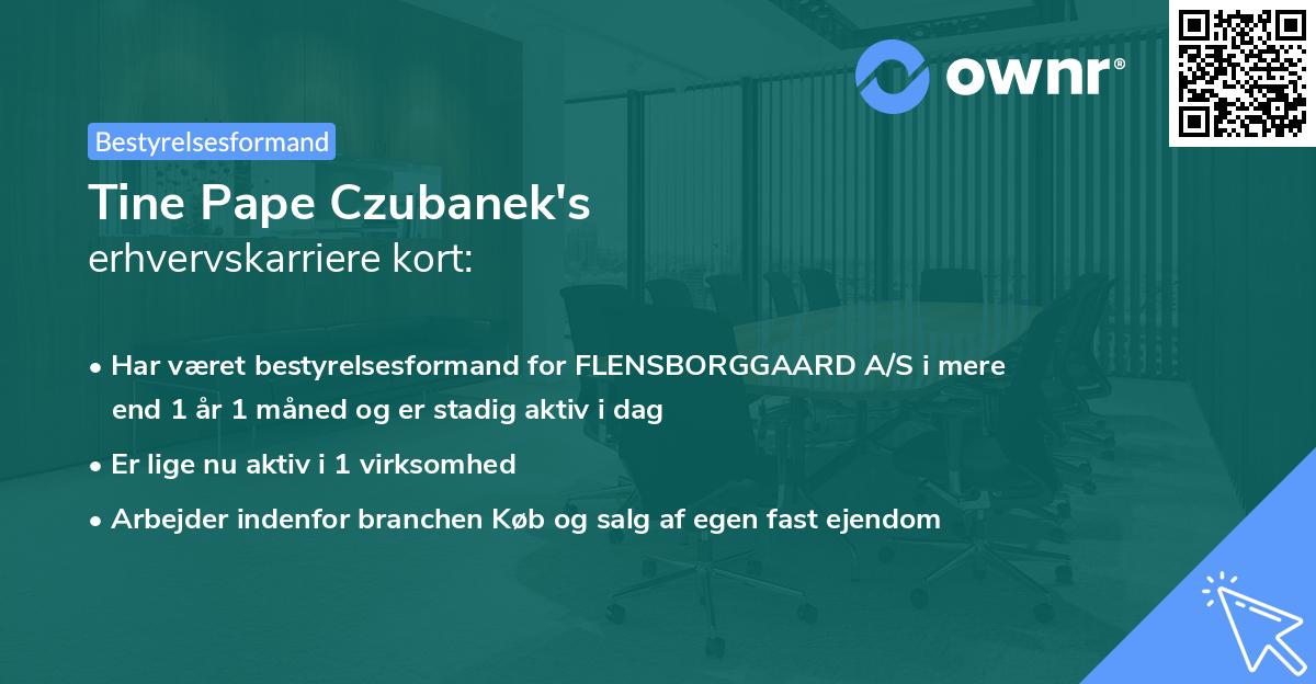 Tine Pape Czubanek's erhvervskarriere kort