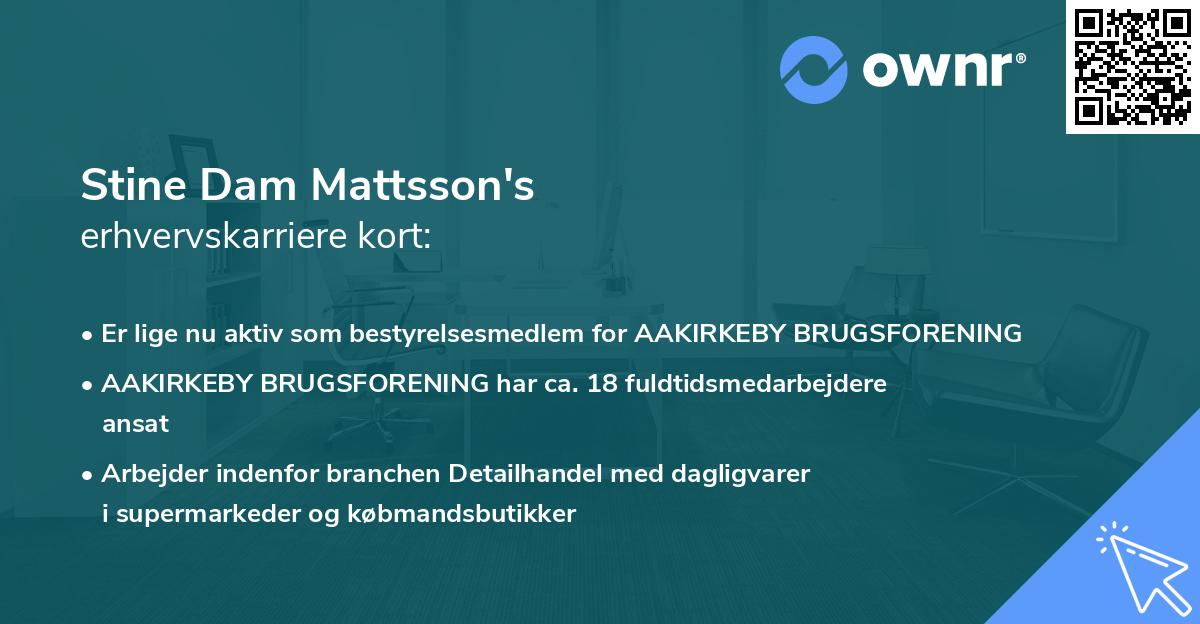 Stine Dam Mattsson's erhvervskarriere kort