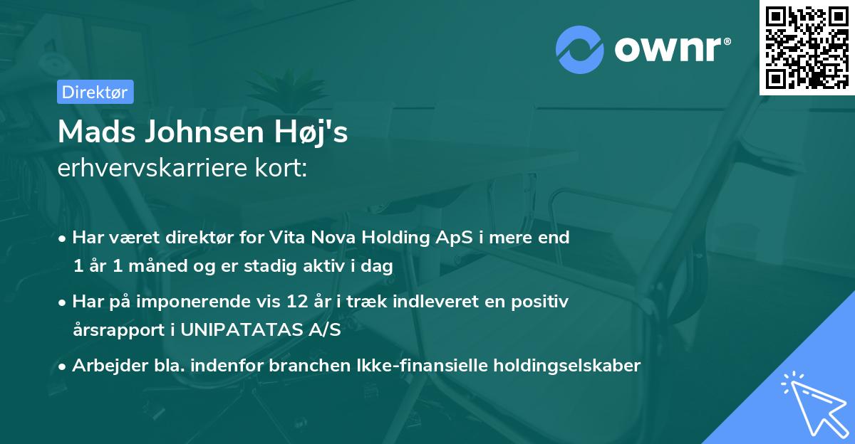 Mads Johnsen Høj's erhvervskarriere kort