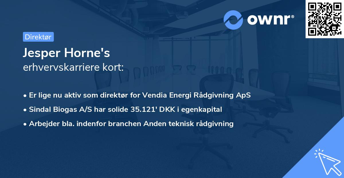 Jesper Horne's erhvervskarriere kort