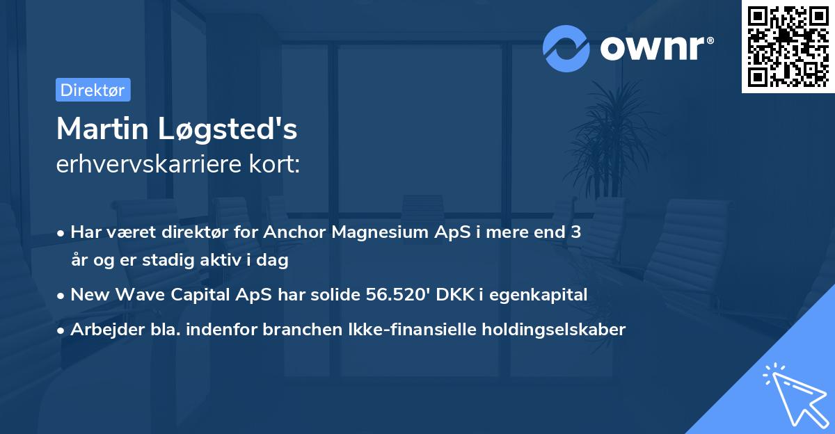 Martin Løgsted's erhvervskarriere kort