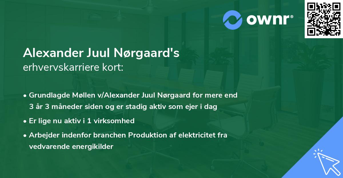 Alexander Juul Nørgaard's erhvervskarriere kort