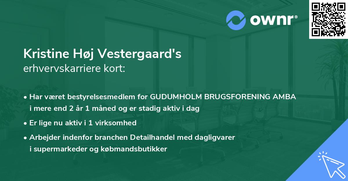 Kristine Høj Vestergaard's erhvervskarriere kort
