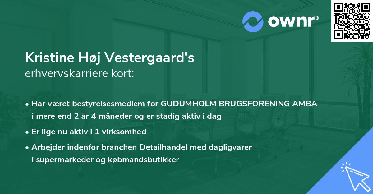 Kristine Høj Vestergaard's erhvervskarriere kort