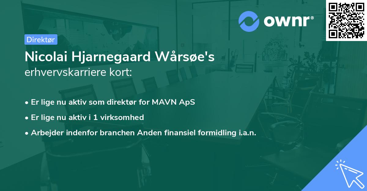 Nicolai Hjarnegaard Wårsøe's erhvervskarriere kort