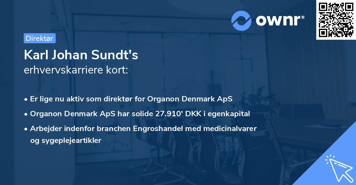 Karl Johan Sundt's erhvervskarriere kort