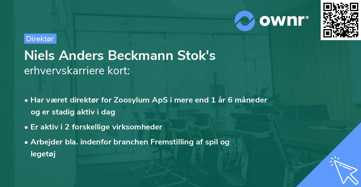 Niels Anders Beckmann Stok's erhvervskarriere kort
