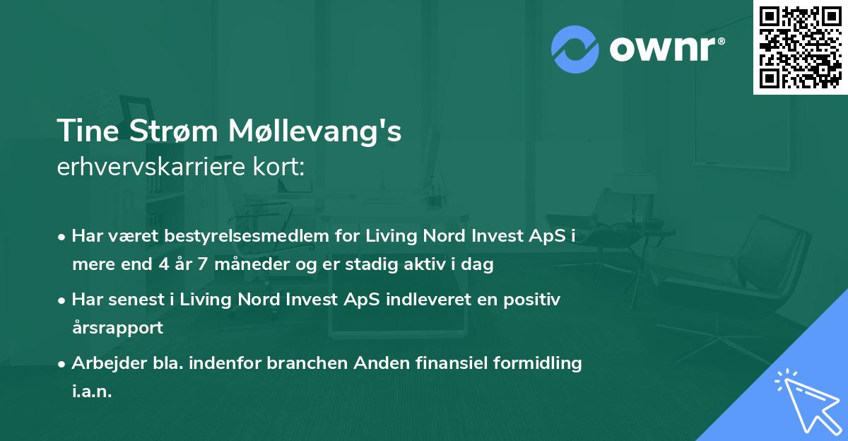Tine Strøm Møllevang's erhvervskarriere kort