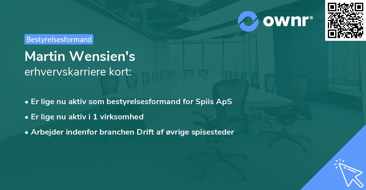 Martin Wensien's erhvervskarriere kort