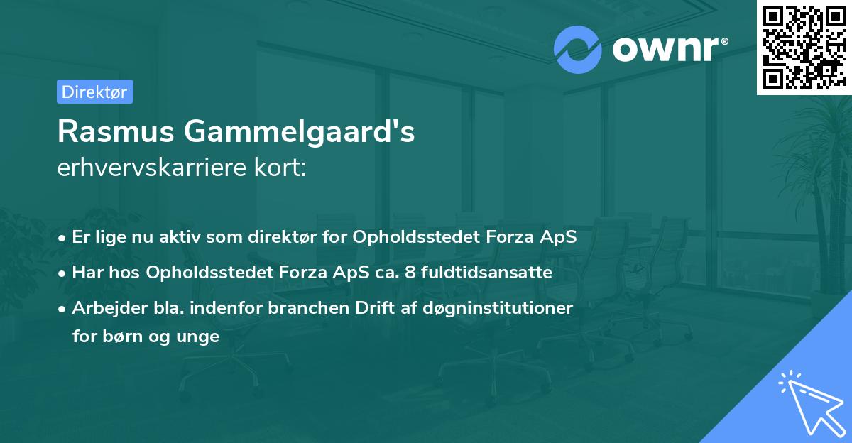 Rasmus Gammelgaard's erhvervskarriere kort