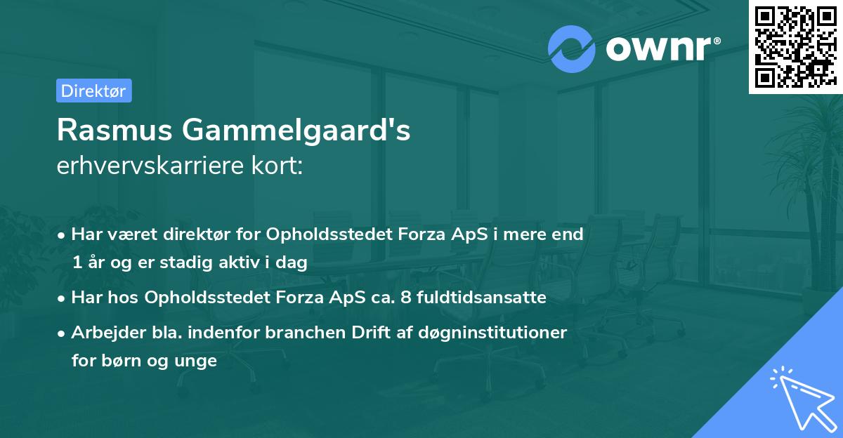 Rasmus Gammelgaard's erhvervskarriere kort