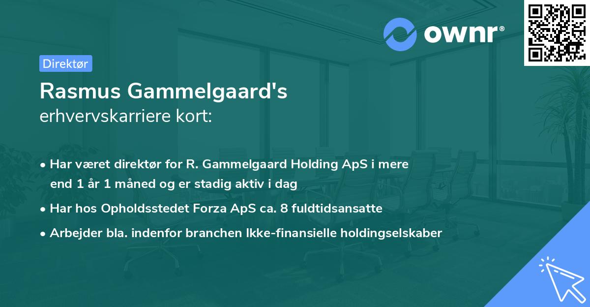 Rasmus Gammelgaard's erhvervskarriere kort