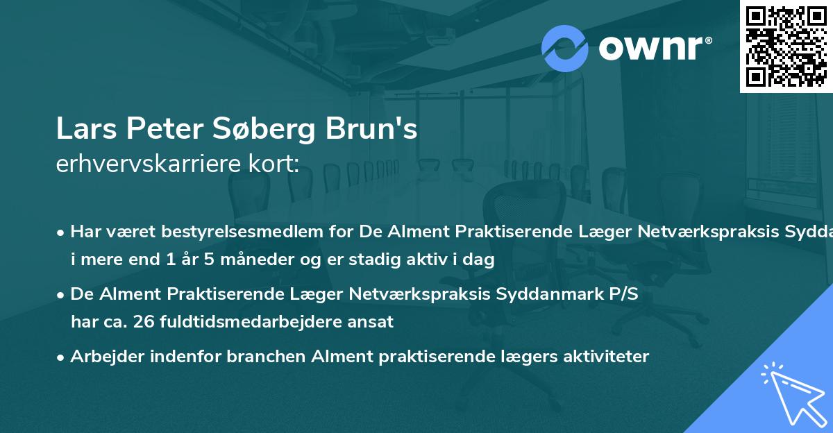 Lars Peter Søberg Brun's erhvervskarriere kort