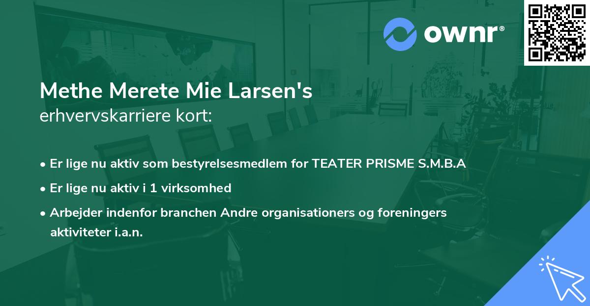 Methe Merete Mie Larsen's erhvervskarriere kort