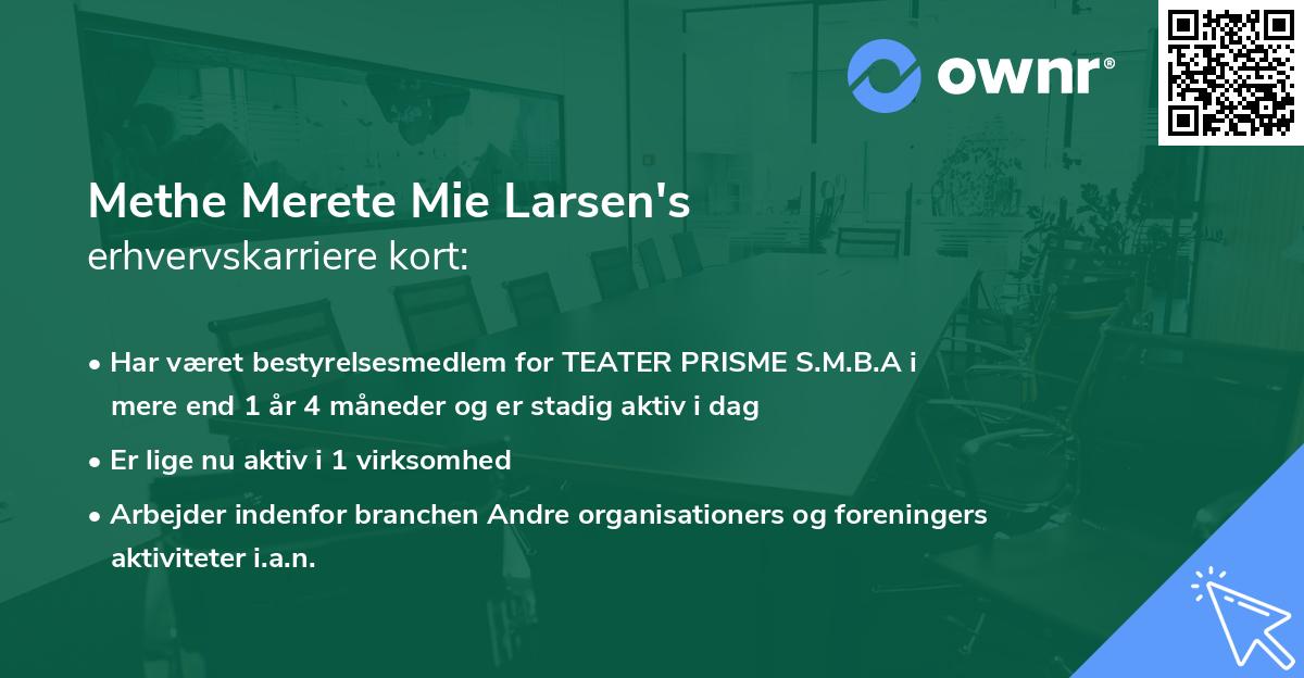 Methe Merete Mie Larsen's erhvervskarriere kort