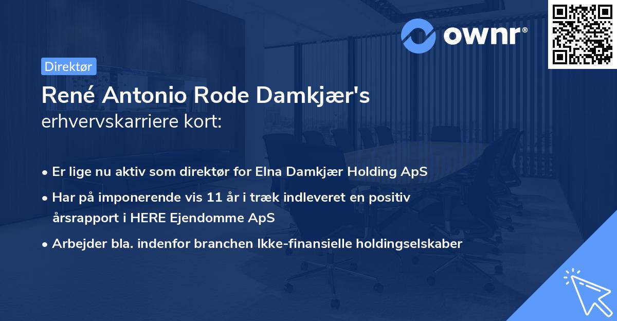 René Antonio Rode Damkjær's erhvervskarriere kort