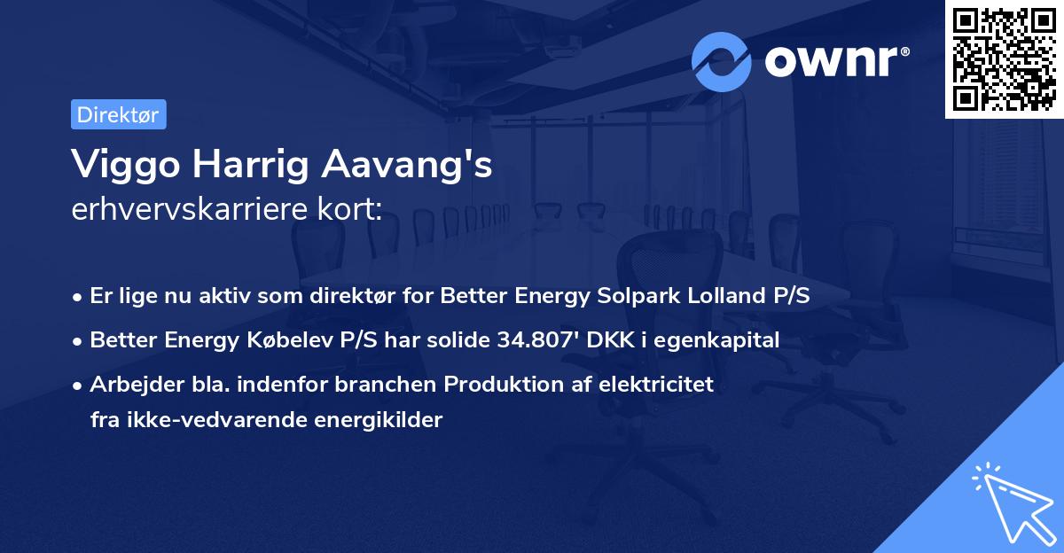 Viggo Harrig Aavang's erhvervskarriere kort