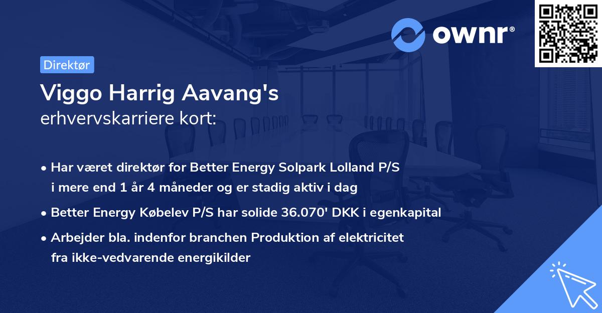 Viggo Harrig Aavang's erhvervskarriere kort